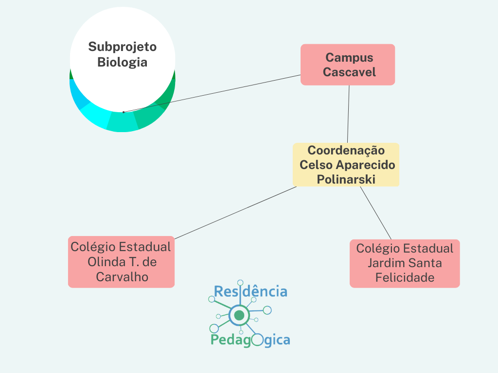 Organograma PRP 2022 2023 Biologia